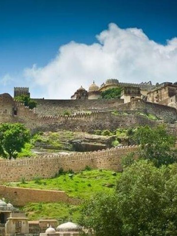 Forts et Palais d’Udaipur 1